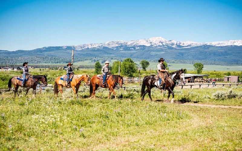  Ranch Cowboy School - Habibi World Travel & Tour America